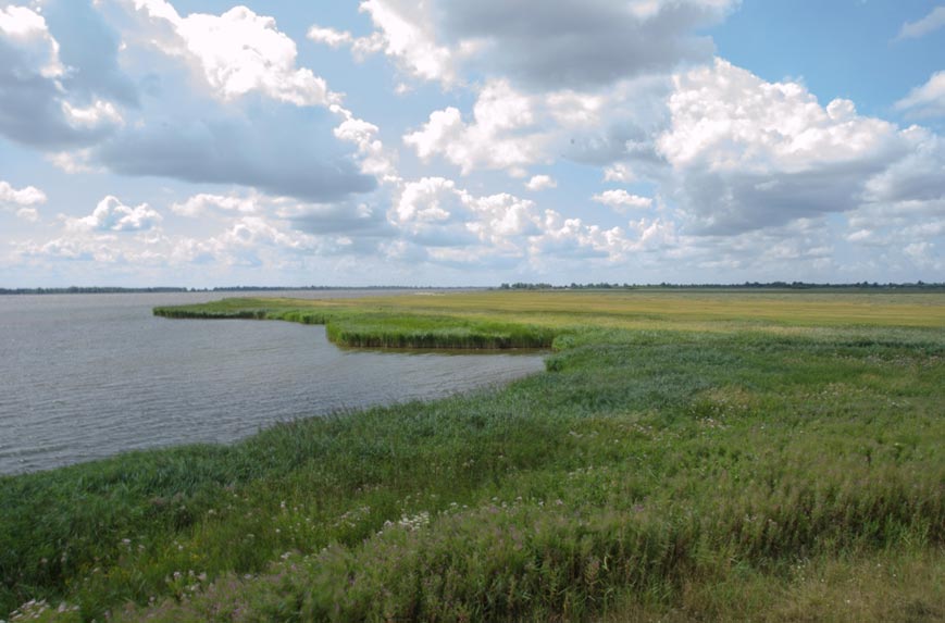 Vanuit Groningen vertrokken de schepen naar zee via de Aa